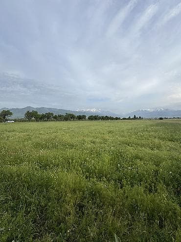 куплю участок пригородный: 282 соток, Для строительства, Договор купли-продажи, Красная книга — 4