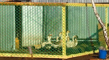 домик для куры: Сетка для птичников пластиковая -сооружение вольеров для мелких — 2