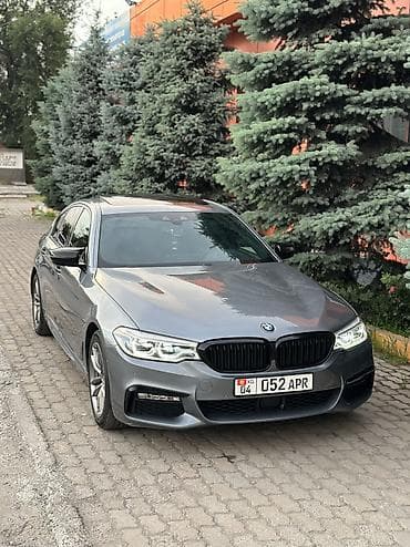 byd w6: BMW 5 series: 2018 г., 2 л, Бензин — 9