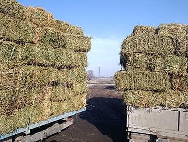 Зоотовары: Сено/люцерна в тюках. - Корм для КРС, коз, овец, лошадей, кроликов и — 3