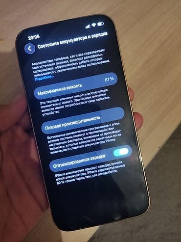 aphone 12: IPhone 13 Pro, Б/у, 256 ГБ, Золотой, Защитное стекло, Чехол, 81 % — 6