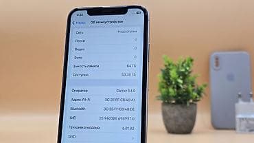 x 256: IPhone X, Б/у, 64 ГБ, Белый, Зарядное устройство, Чехол, 100 % — 9