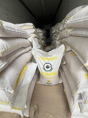 рис ташкент лазер: Курупа Лазер выше сорт Лимон Горох Гречка Мосла 5 литр 2лит 1 — 6