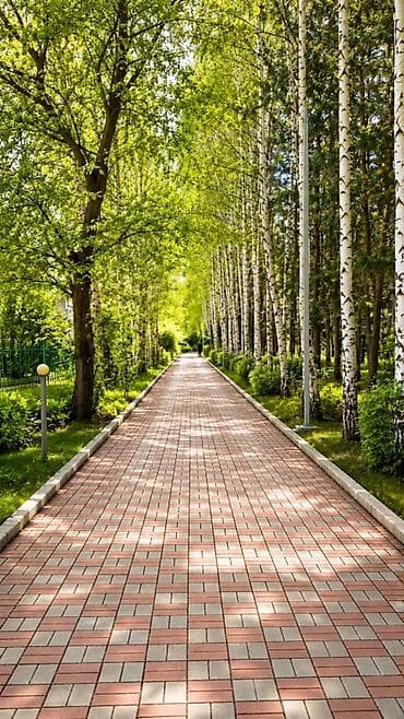 Гостевые дома на Иссык-Куле: Гостевой дом на Иссык-Куле, Esal Guest House, Бостери, 10+ мест, На летний сезон — 5