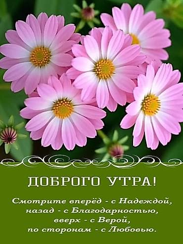 требуется дворники: Техничка. Ищу постоянную работу или подработку (кафе, магазин — 1