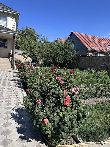 Недвижимость: Сдается на длительный срок просторный двухэтажный 6-комнатный дом — 2