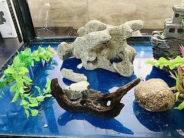 Аквариумы: Аквариум AMARA с крышкой и оборудованием объемом 190 л - Стеклянный — 5