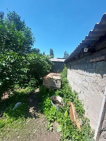 бизнес аппарат: Срочно срочно продаю участок под бизнес. Село Новопокровка, на участке — 9