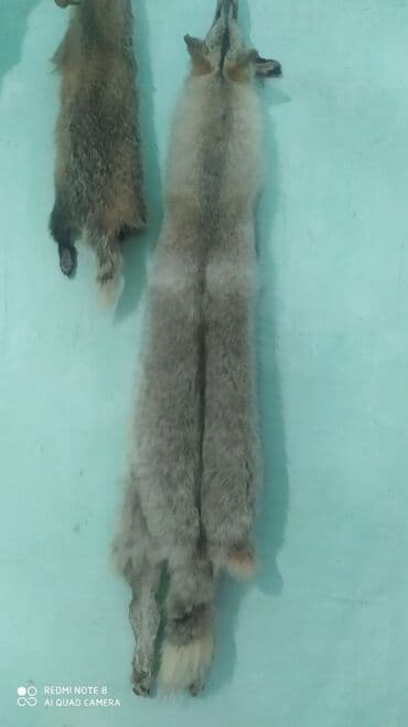 учкун швея: Услуги по выделке и обработке шкур. Что предлагаем: - — 7