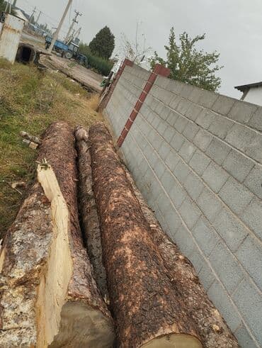 декор для сада купить: Предлагаются бревна, представляющие собой стволы деревьев, распиленные — 1