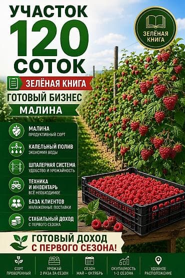 120 соток Электричество, Водопровод
