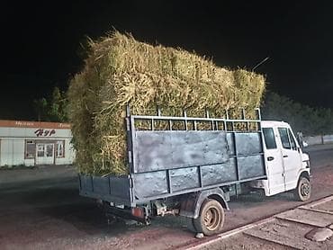 Заказать Мерседес грузовой спринтер, Перевозка скота, C грузчиком — 2