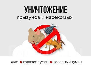 Дезинфекция, дезинсекция, | Вирусы, микробы, Клопы, Муравьи, | Дома, Кафе, магазины, Квартиры at lalafo.kg Дезинфекция, дезинсекция, | Вирусы, микробы, Клопы, Муравьи, | Дома, Кафе, магазины, Квартиры