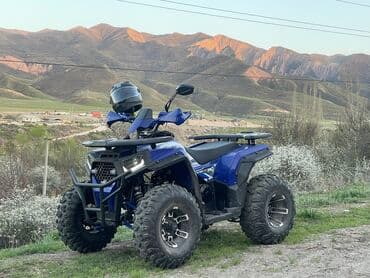 продаю или меняю с доплатой мне: Квадроцикл Бензин, 200 куб. см, Взрослый — 1