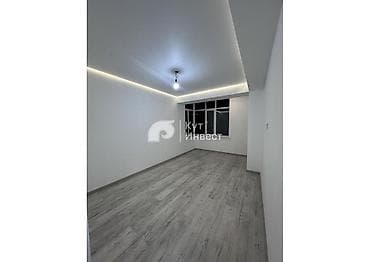 сдаю квартиру лебединовка: 1 комната, 40 м², Элитка — 4