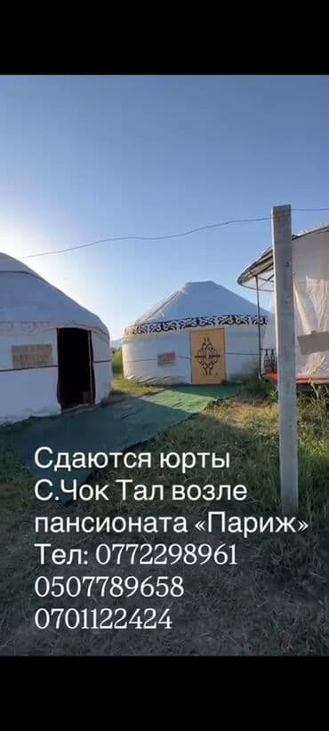 сары ой дом: Боз үй, Чок-Тал — 1
