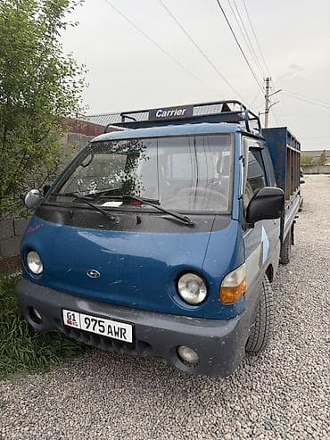 sprinter 4x4: Легкий грузовик, Hyundai, Стандарт — 1