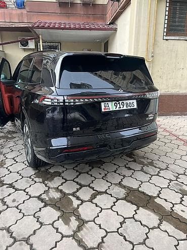 2025: Dongfeng : 2025 г. — 4