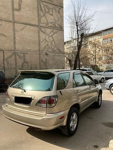 Lexus RX: 2002 г., 3 л, Автомат, Бензин, Кроссовер