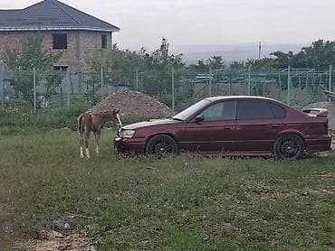 Subaru: Subaru Legacy: 2001 г., 2 л, Механика, Бензин, Седан — 2