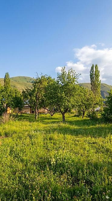 кок жар ул тулеева: 30 соток, Для бизнеса, Красная книга — 4