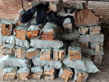 купить туи в бишкеке: Дрова Сосна, Бесплатная доставка — 4