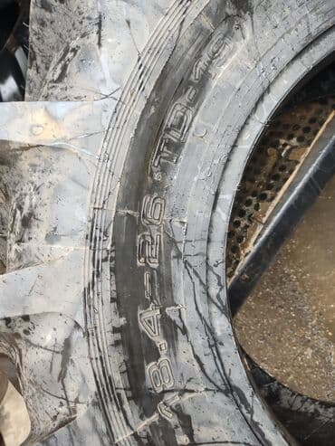 шины на фронтальный погрузчик: Шины <130 / R 30, Новый, 1 шт, С/х техника, Сербия — 5
