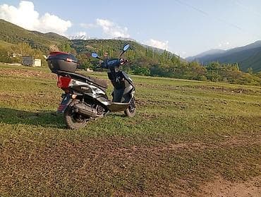 Тип скутера M8, 125 куб. см, Бензин