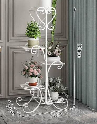 купить комнатные цветы в бишкеке: Комнатные декоративные растения в кашпо 1) Толстянка (Crassula ovata — 29