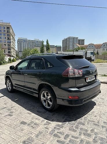 внедорожник мини: Lexus RX: 2004 г., 3.3 л, Автомат, Бензин, Внедорожник — 6