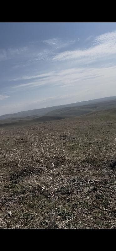 дом из лстк цена: Чек сатылат — 2