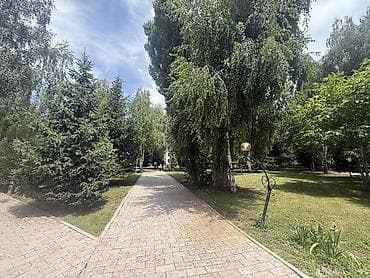 Сары Ой . Пансионат Aзия палас. Сдаются квартира. 7 мест. курортный — 10