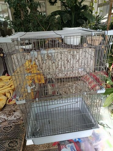 ошейники для кошек: Продам клетку для птиц, практически новая, заказывали на wb, удобная — 5