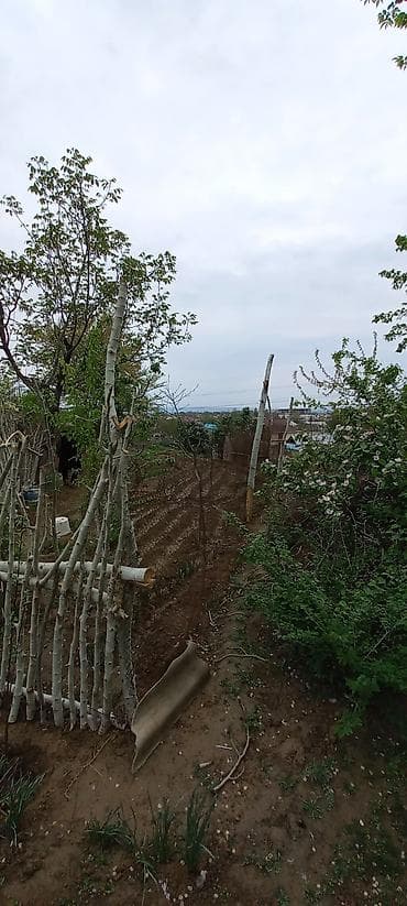 nice house: Дом с большим навесным крыльцом и участком - Одноэтажный дом с белым — 3