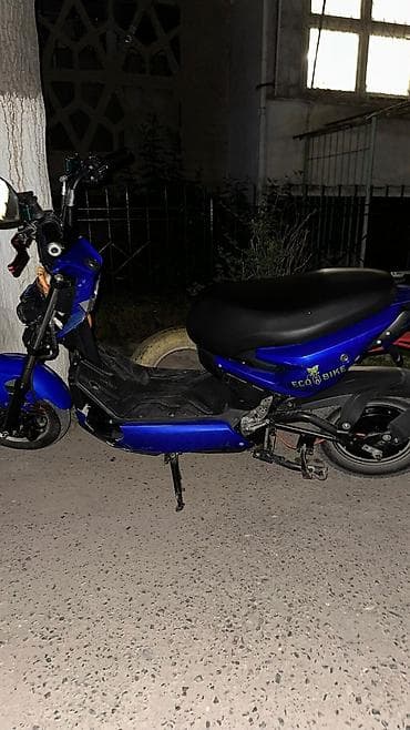 скутер электро: Электроскутер AUCMA Eco Bike, синий цвет. Особенности и комплектация — 4