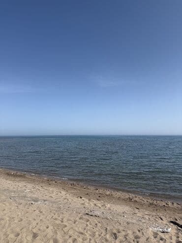 купить дом на колесах: Коттедж, коттедж реклама ЦО Royal beach, Чок-Тал, SPA, Барбекю, Баскетбольная площадка — 15