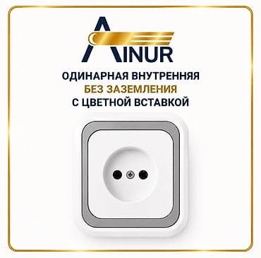 гнезда: Розетка Айнур одинарная внутренняя с цветной вставкой ( 250-А, 50-Гц — 1