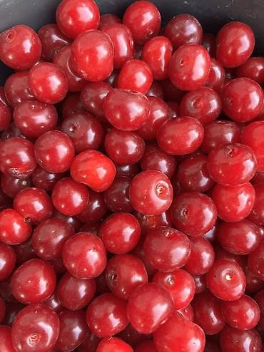 nutrien купить: Вишня, малина и урюк. Свежие 100%, рвем на заказ. Домашние — 4