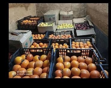 лед освещение: Грузовик, Mercedes-Benz — 6