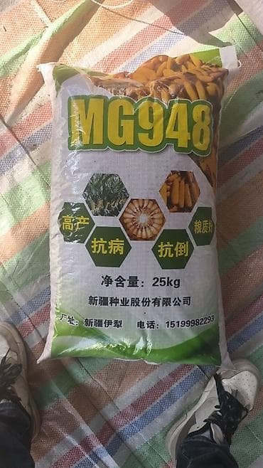слива фрукт: Кукурузные семена MG948 привозной - Марка/модель: MG948 - Тип — 2