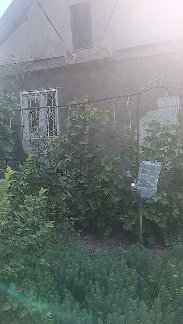 дома кок жар: Садовый участок с баней и летними постройками - Русская баня: парилка — 7