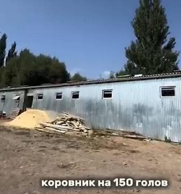 кон завод: Farm КРС, 2400 соток, Действующий, С оборудованием, Электричество — 3