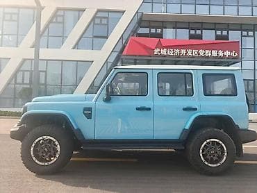 baw: BAW : 2025 г., 2 л, Автомат, Бензин, Внедорожник — 6