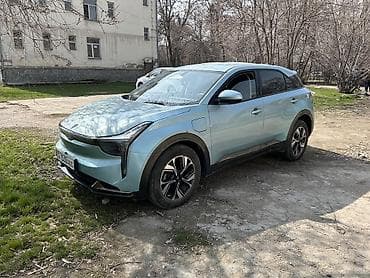 чехол кожаный: Weltmeister EX5, 2022 г., Передний, В наличии — 2