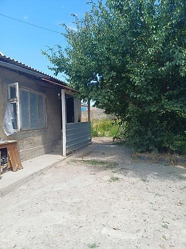 дома старый толчок: Дом с участком - Один этаж, отдельный вход, крыльцо. - Материал стен — 1