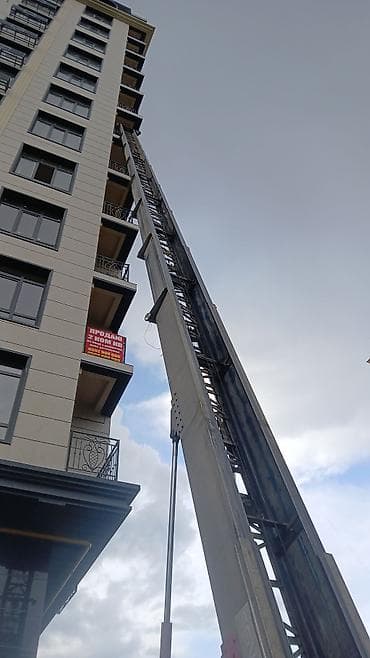 домкра: Стрела 45 м, 300 т — 3