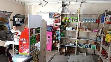 марк 115: Mercedes-Benz W124: 1995 г., 3 л, Автомат, Универсал — 4