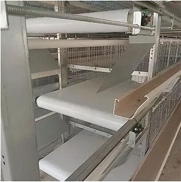 Грызуны: Лента Пометоудаление Полипропиленовая 0,8 мм крепкий качественный — 4