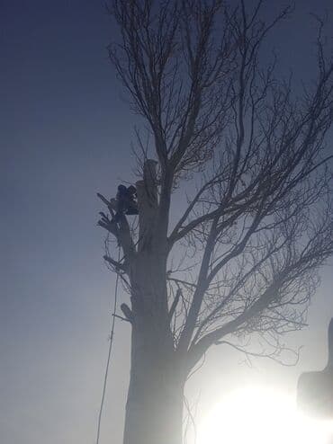 лазерная эпиляция цены: Терек биик коркунучту кыявыс Бекер кыип кетевис Бишкек чуй областях — 1