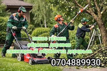 axe: Профессиональный уход за участком: - Покос газона: ровный срез — 1